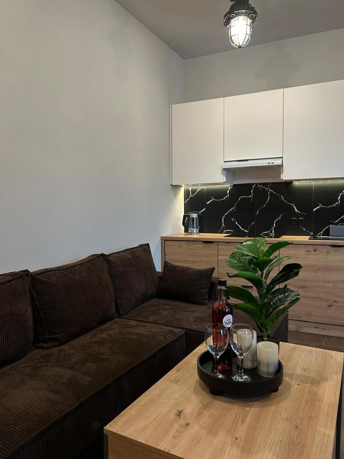 Loft House Daire Nowy Targ Dış mekan fotoğraf