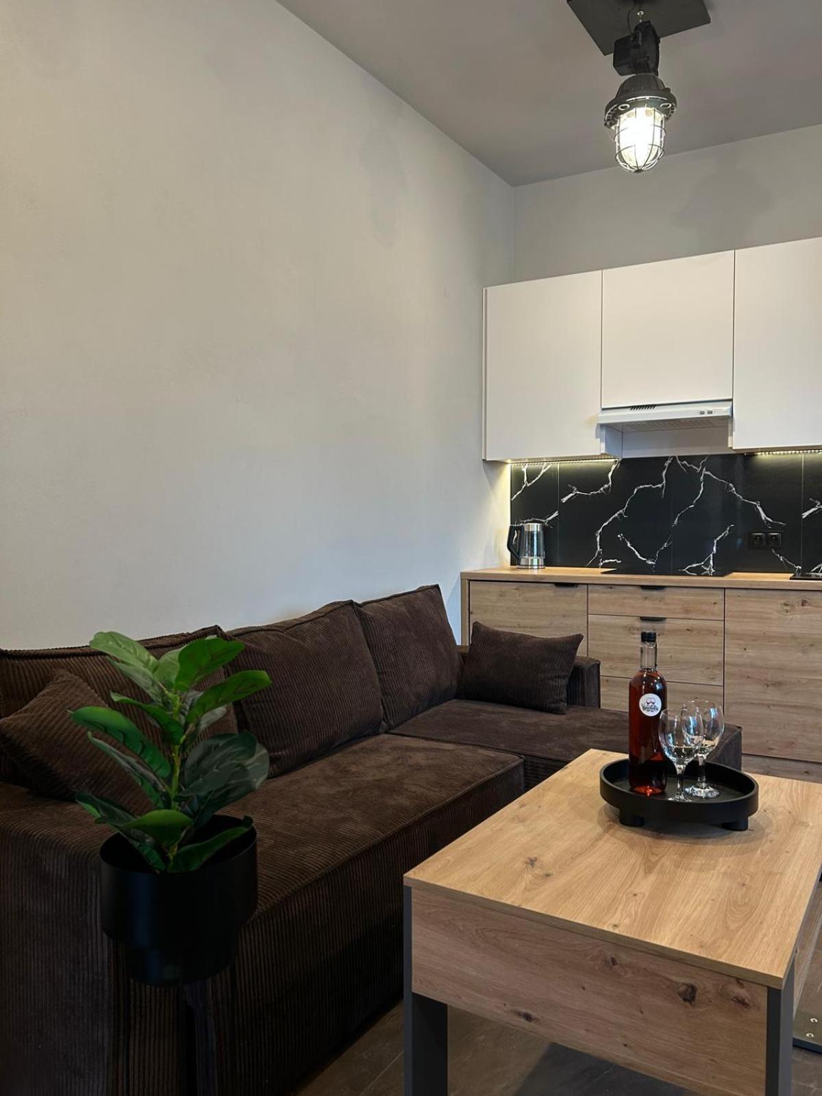 Loft House Daire Nowy Targ Dış mekan fotoğraf