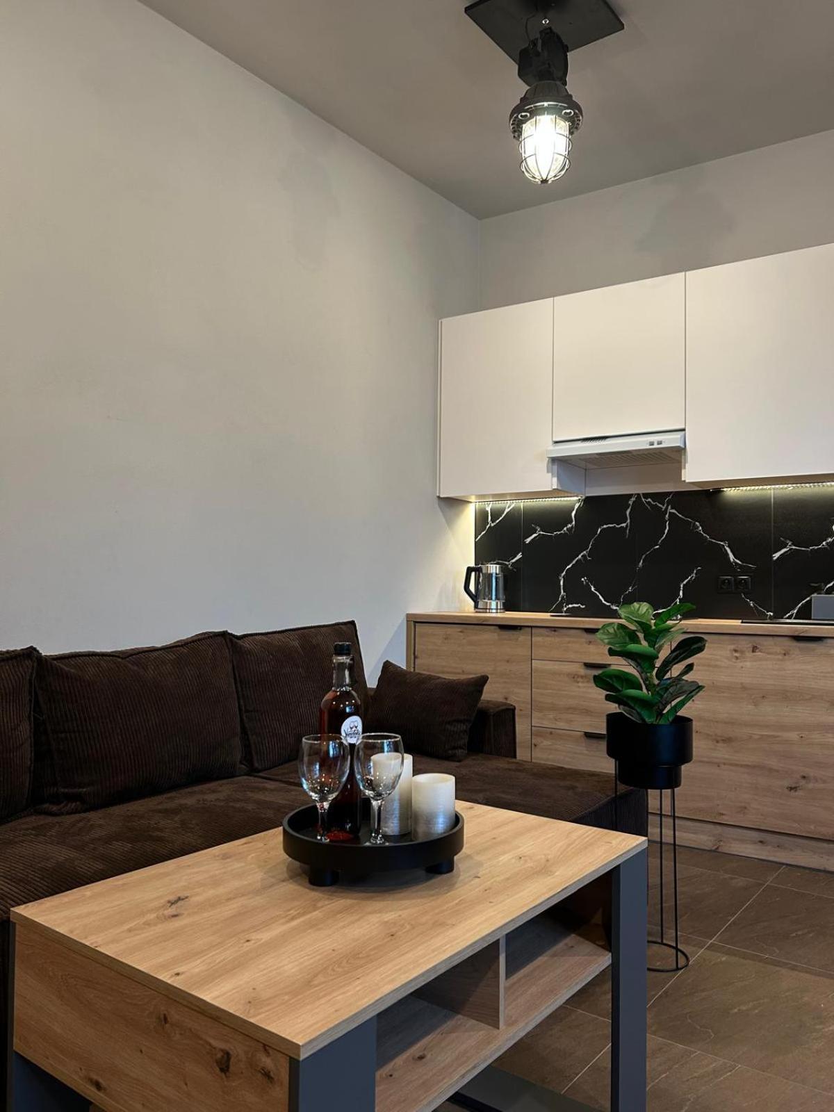 Loft House Daire Nowy Targ Dış mekan fotoğraf